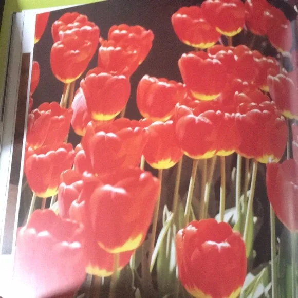 Coffee Table book of photography by Evelyn Lauder, Daughter of Estée Lauder. - Picture 5 of 7